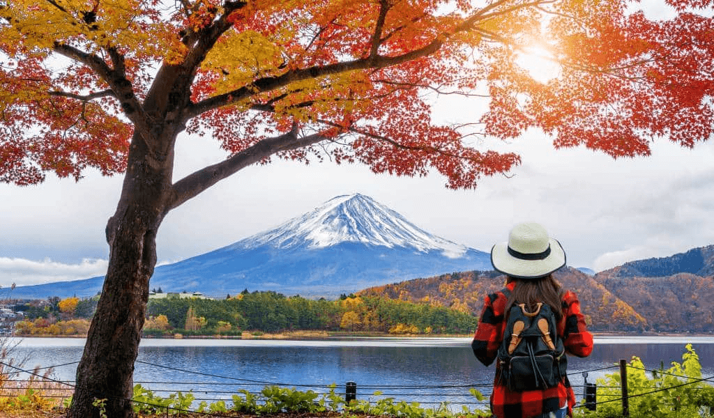 why learn japanese 